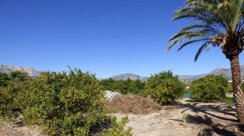 Alicante - Alfaz del Pi - 15000m2