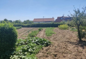 Foto 14