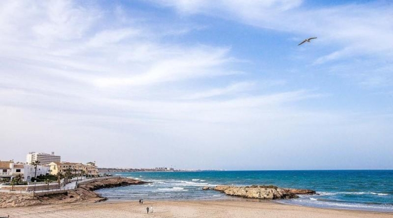 Alicante - Dehesa de Campoamor - 480m2