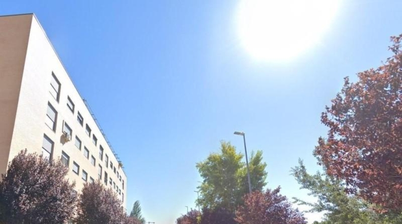 Guadalajara - Guadalajara - 990m2