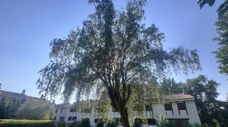 Community of Madrid - Quijorna - 175m2