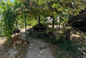 Foto 20