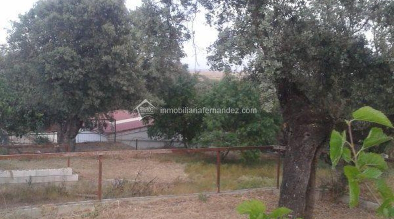 Cáceres - Casar de Cáceres - 3000m2