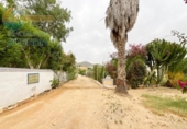 Casa de camp amb terreny en venda a la España, Cartagena, ref.: TR148071 foto