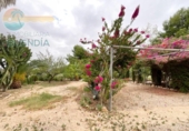 Casa de camp amb terreny en venda a la España, Cartagena, ref.: TR148071 foto