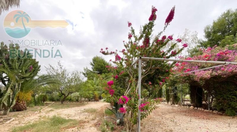 Murcia - Cartagena - 4877m2