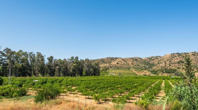 Salamanca - Pizarral - 37521m2
