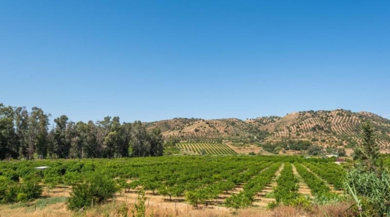 Salamanca - Pizarral - 37521m2