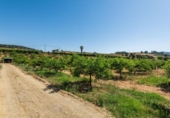 Terreno no urbanizable en venta en la España, Pizarra, ref: TR276041 foto