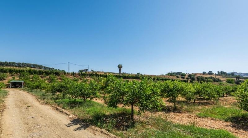 Salamanca - Pizarral - 37521m2