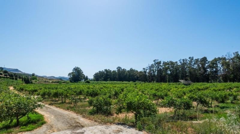 Salamanca - Pizarral - 37521m2