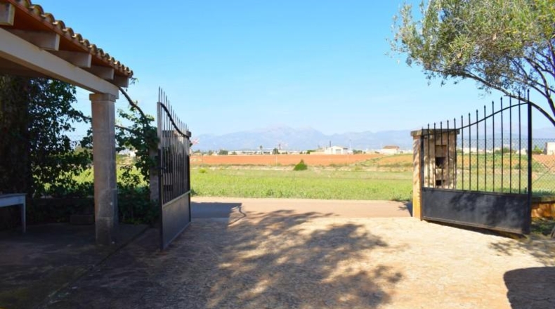 Balearic Islands - Muro - 6719m2