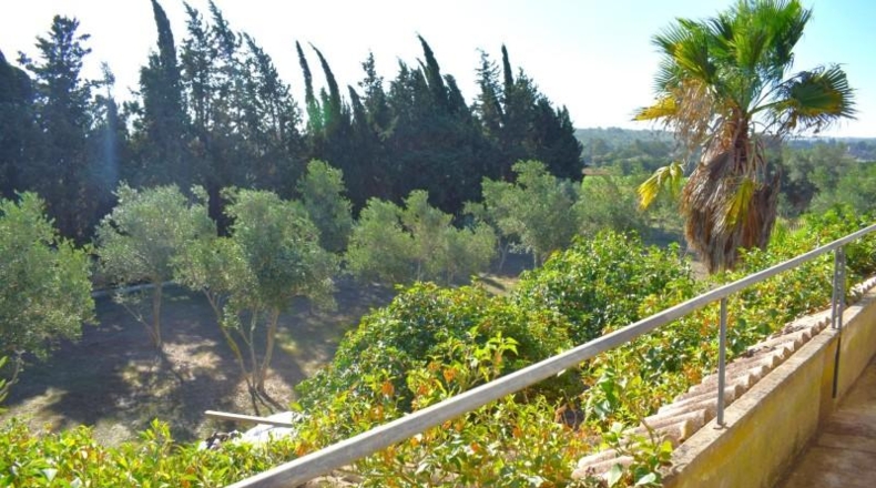Balearic Islands - Muro - 6719m2