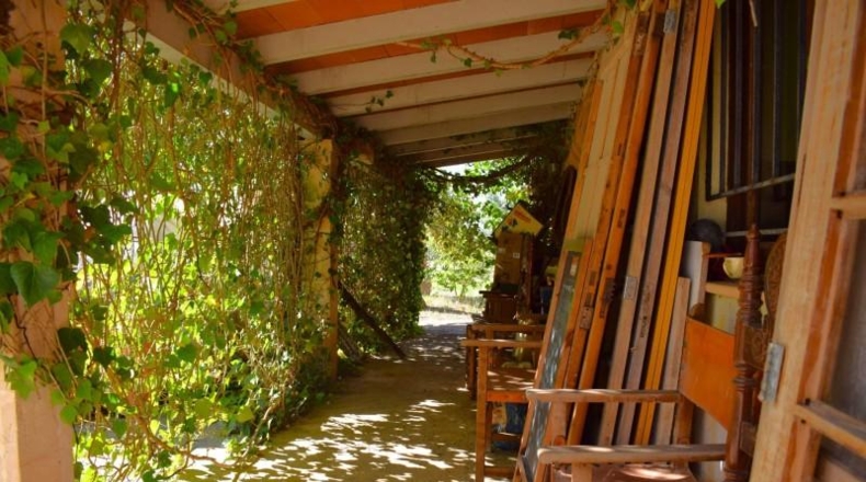 Balearic Islands - Muro - 6719m2