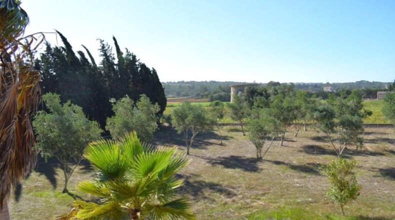 Balearic Islands - Muro - 6719m2