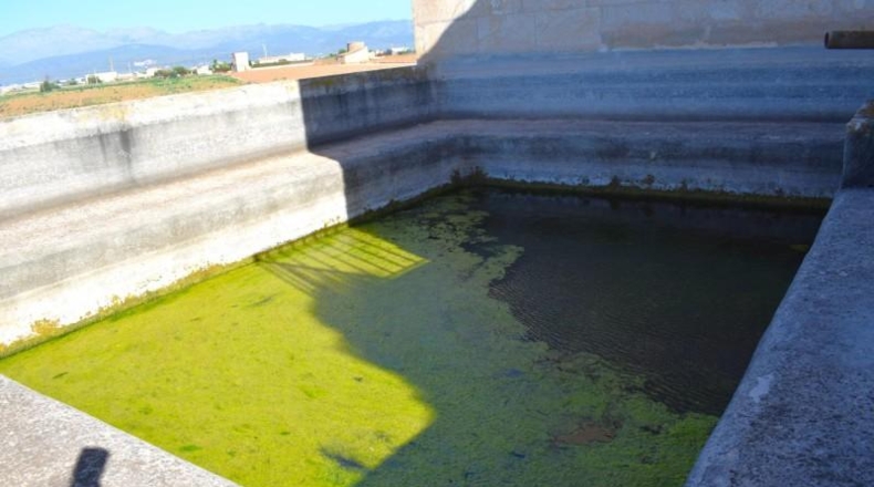 Balearic Islands - Muro - 6719m2