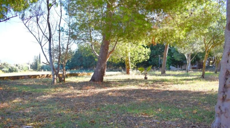 Balearic Islands - Muro - 6719m2