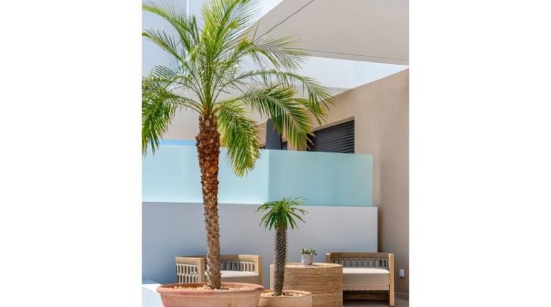 Alicante - Dolores - 190m2