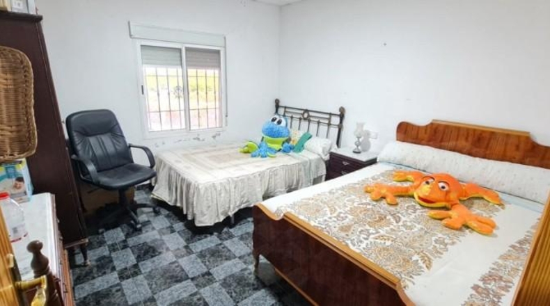 Murcia - Molina de Segura - 59500m2