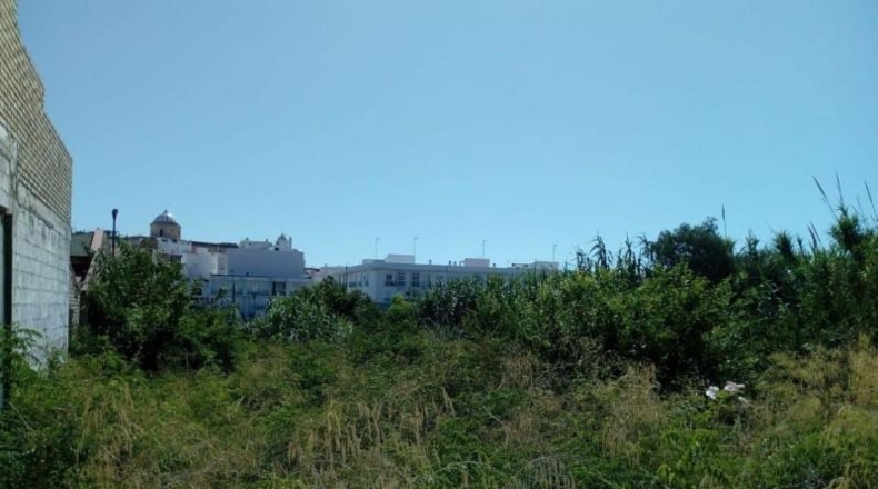Cádiz - Chiclana de la Frontera - 1381m2