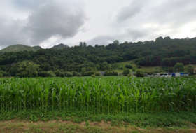 Cangas de Onís 1464&nbsp;m² 