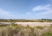 Parcel·la urbanitzable en venda a la España, Múrcia, ref.: TR328635 foto