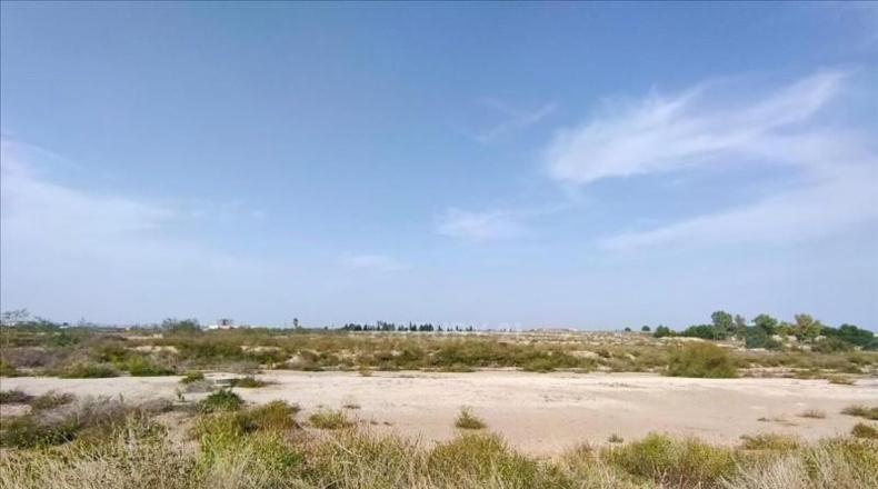 Murcia - Мурсия - 21625m2