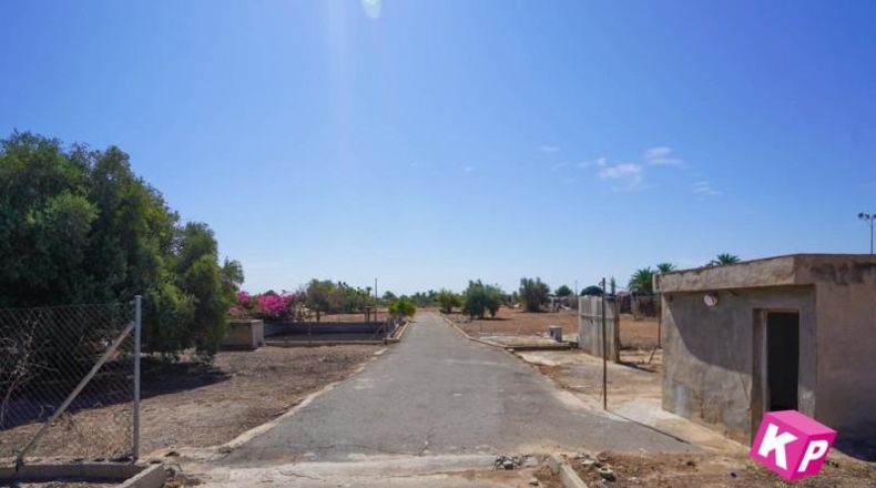 Alicante - Torrellano - 6900m2