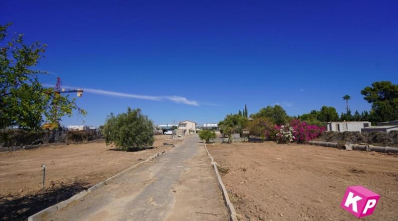 Alicante - Torrellano - 6900m2