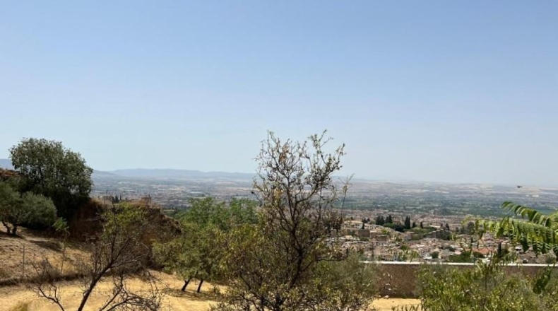 Granada - Granada - 792m2