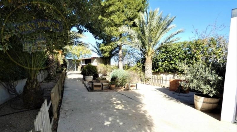 Murcia - Molina de Segura - 13000m2