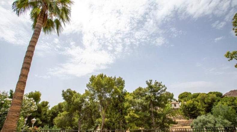 Murcia - Las Torres de Cotillas - 1091m2