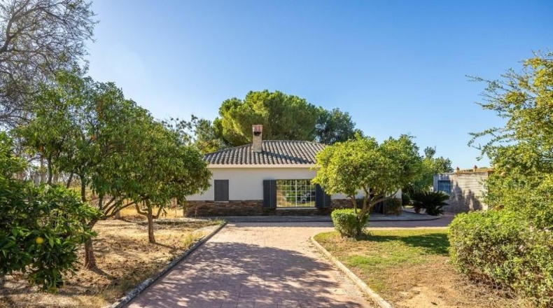 Sevilla - Mairena del Aljarafe - 2966m2