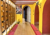 Chalet independiente con terreno en venta en la España, Instinción, ref: TR350835 foto