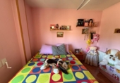 Chalet independiente con terreno en venta en la España, Molina de Segura, ref: TR352959 foto