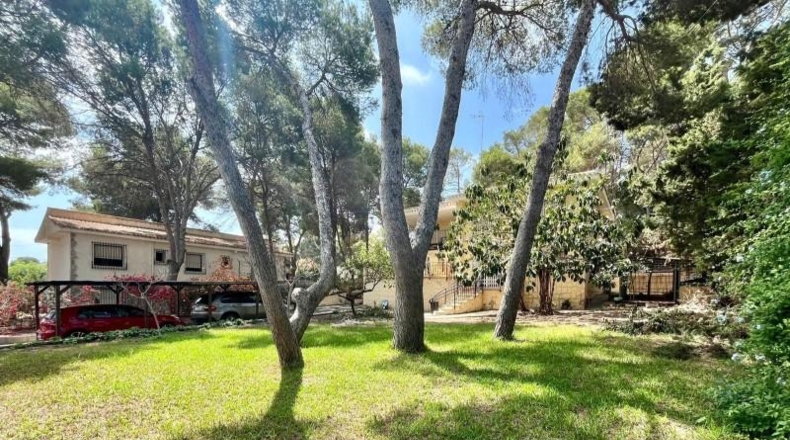 Alicante - Torrevieja - 1000m2