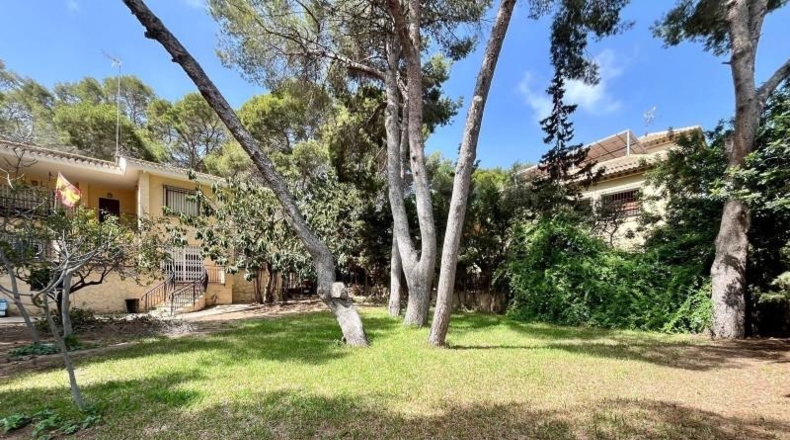 Alicante - Torrevieja - 1000m2