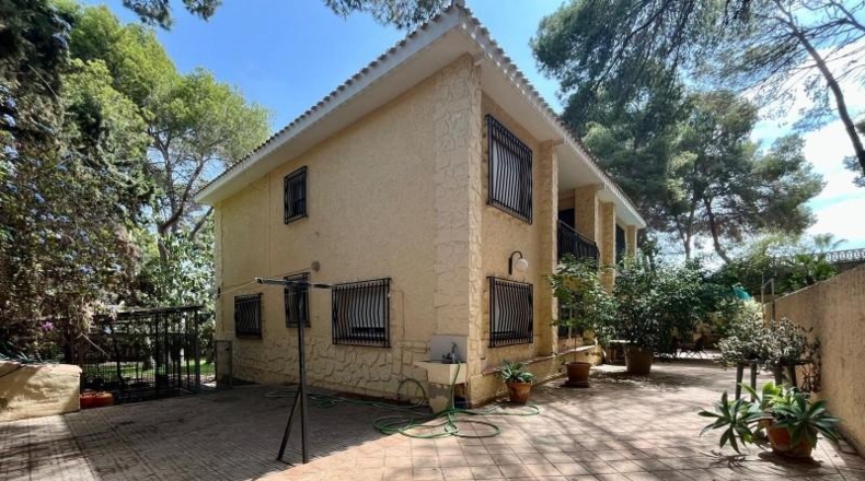 Alicante - Torrevieja - 1000m2