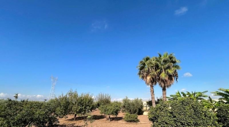 Múrcia - Cartagena - 2700m2
