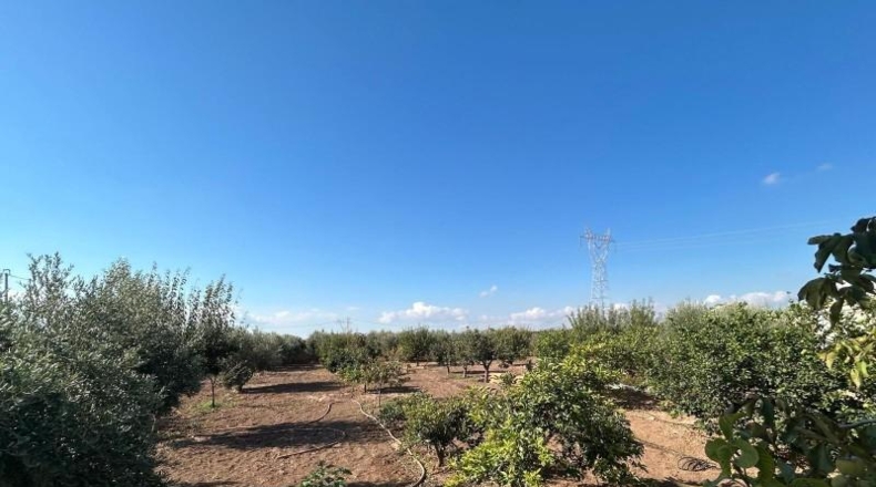 Múrcia - Cartagena - 2700m2