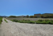 Non-developable land for sale on España, Motril, ref: TR238498 photo