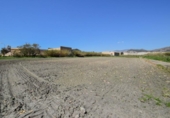 Non-developable land for sale on España, Motril, ref: TR238498 photo