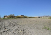 Non-developable land for sale on España, Motril, ref: TR238498 photo