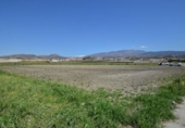 Non-developable land for sale on España, Motril, ref: TR238498 photo