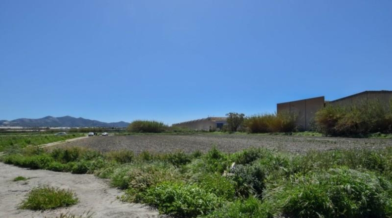 Granada - Motril - 10014m2