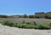 Non-developable land for sale on España, Motril, ref: TR238498 photo