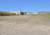 Non-developable land for sale on España, Motril, ref: TR238498 photo