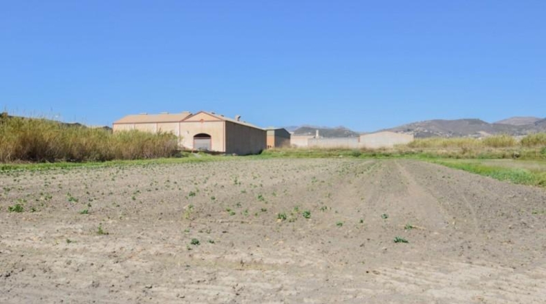 Granada - Motril - 10014m2