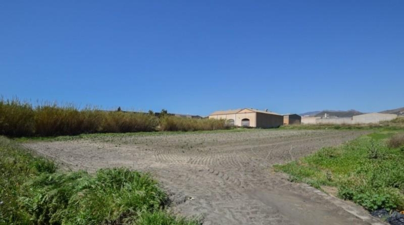 Granada - Motril - 10014m2