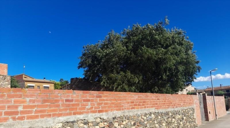 Gerona - Garriguella - 789m2